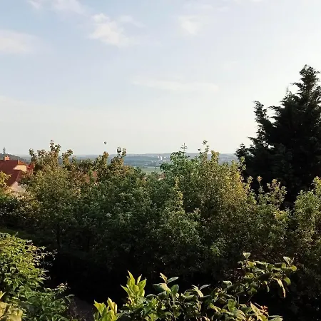 Liget Vendeghaz Harsfa U 11 צ'רסגטומאי