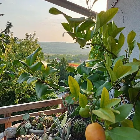 Liget Vendeghaz Harsfa U 11 Гостевой дом Черсегтомай